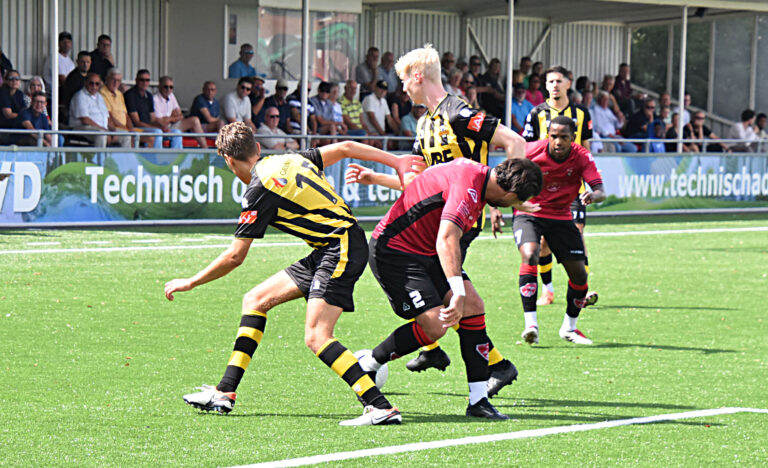 Uien maatje te groot voor de Vogels