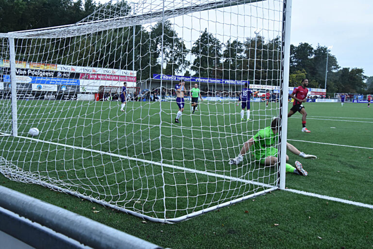 Zwaluwen stopt Rijnvogels af