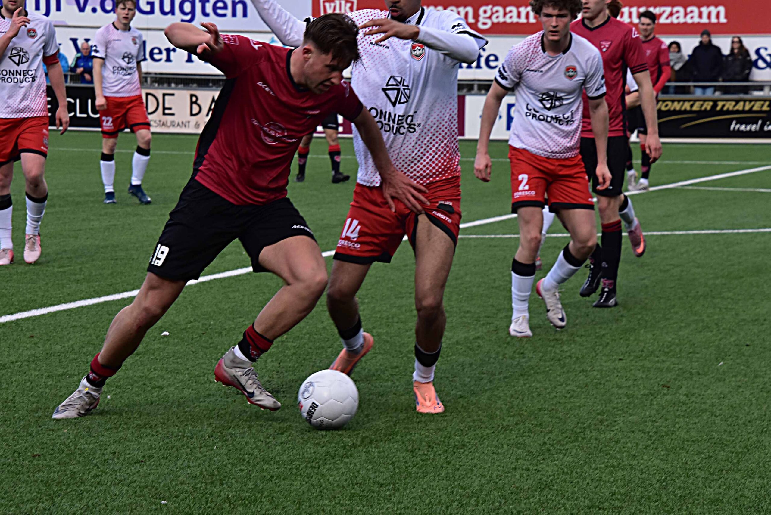 Vogels pakken de draad weer op